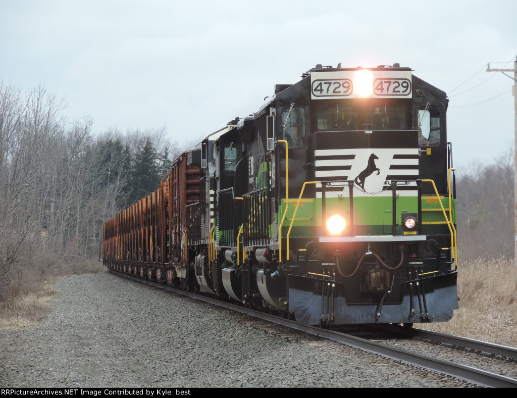 NS 4729